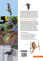 Handboek-Vogels-van-Nederland-flaptekst-9789050119412