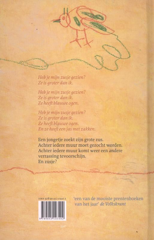 Heb-je-mijn-zusje-gezien-flaptekst-9789045103402