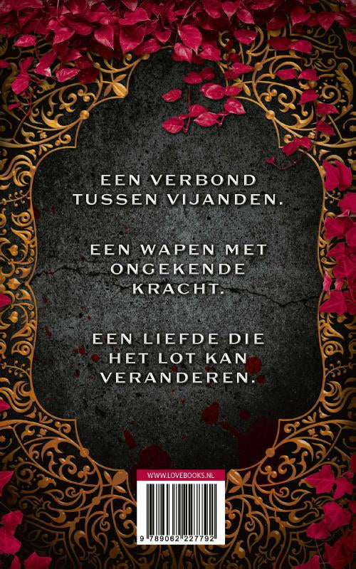 Heir-of-illusion-flaptekst-9789062227792