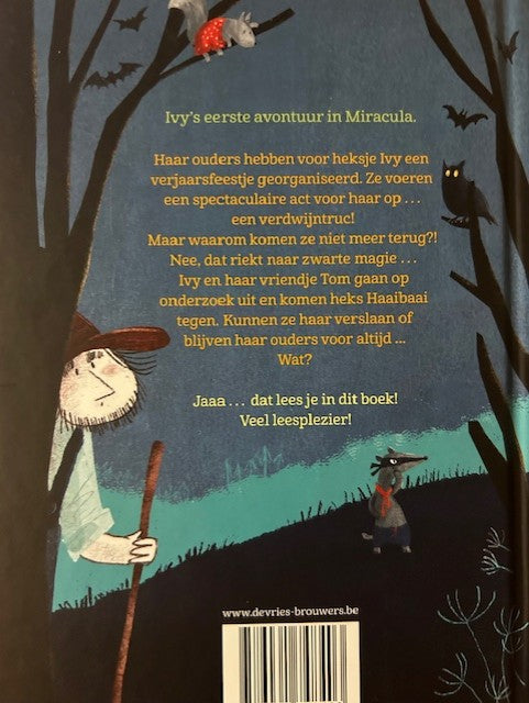 Heksje-Ivy-In-het-oog-van-de-storm-flaptekst-9789061748403