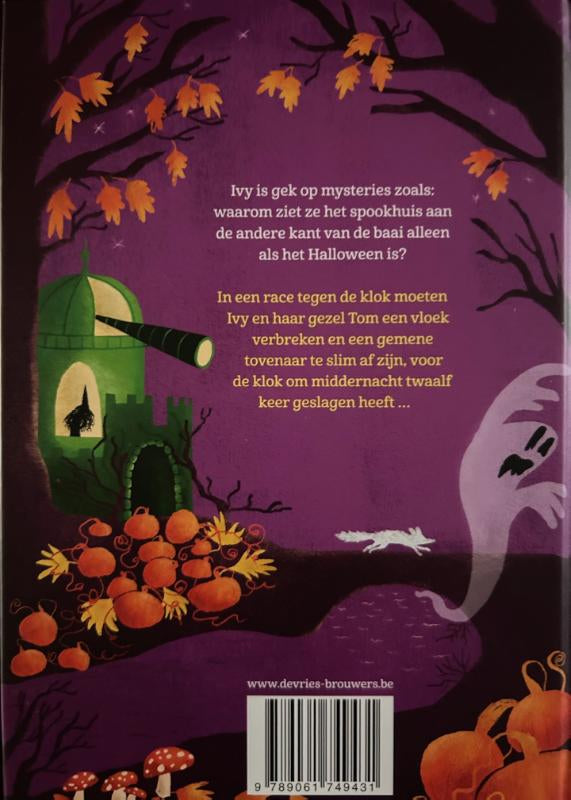 Heksje-Ivy-en-de-tijdrover-flaptekst-9789061749431