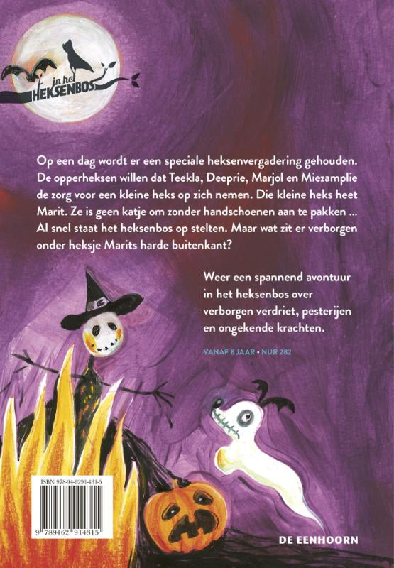 Heksje-Marit-flaptekst-9789462914315