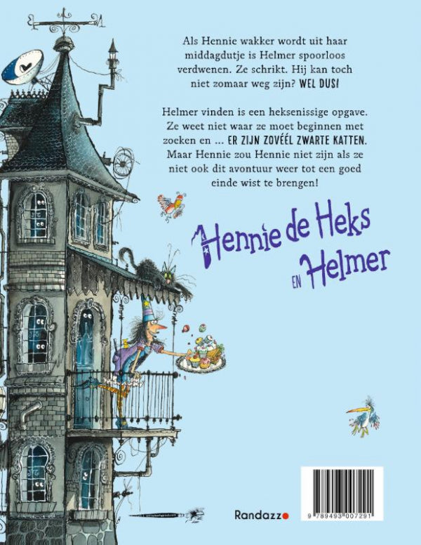 Hennie-zoekt-Helmer-flaptekst-9789493007291