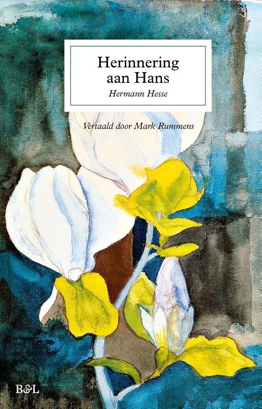 Herinneringen-aan-Hans-boek-cover-9789493508743