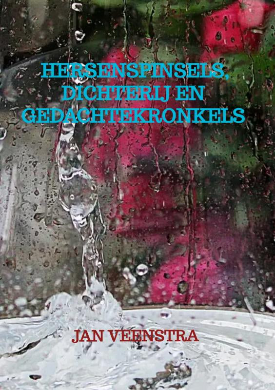 Hersenspinsels-dichterij-en-gedachtekronkels-boek-cover-9789403724621
