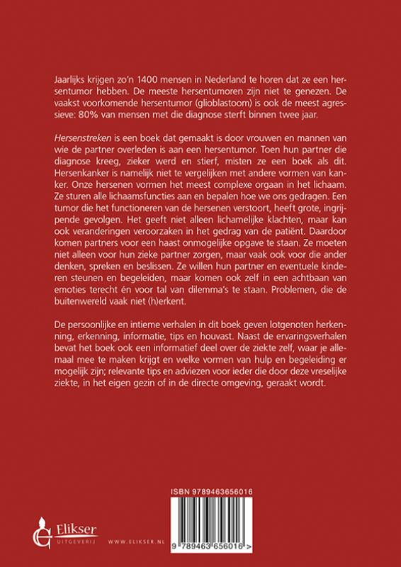 Hersenstreken-flaptekst-9789463656016