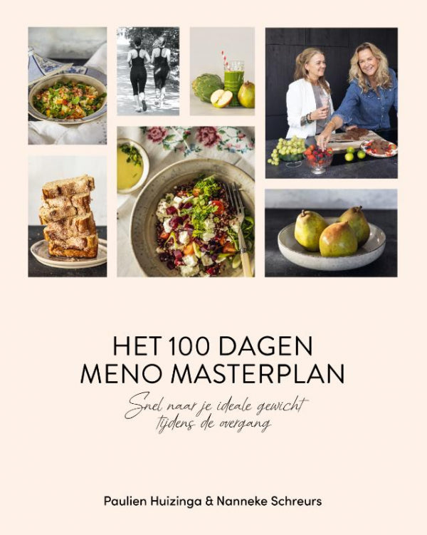 Het-100-dagen-meno-masterplan-boek-cover-9789464043594