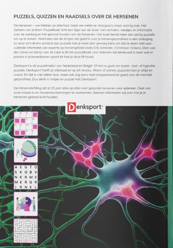 Het-Geheim-van-je-Brein-Puzzelboek-flaptekst-9789493361126