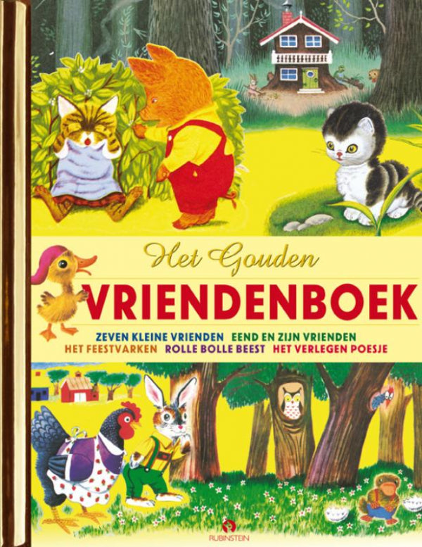 Het-Gouden-Vriendenboek-boek-cover-9789047625506
