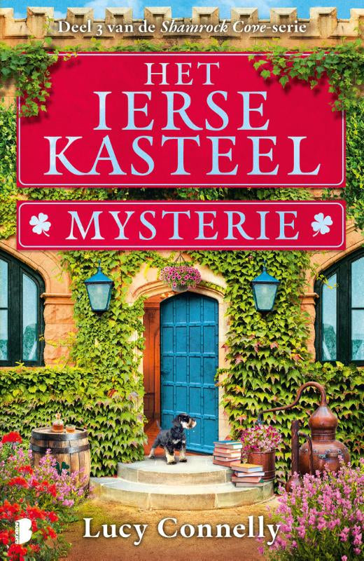 Het-Ierse-kasteelmysterie-boek-cover-9789049209568