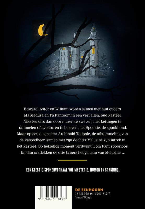 Het-Spokentrio-flaptekst-9789462918177