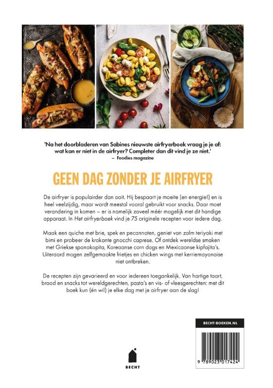 Het-airfryerboek-flaptekst-9789023017424