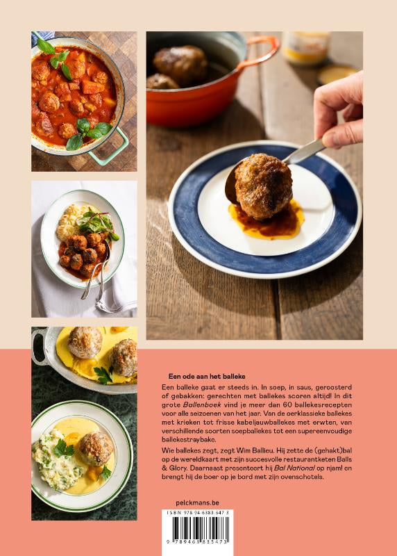Het-ballenboek-flaptekst-9789463835473