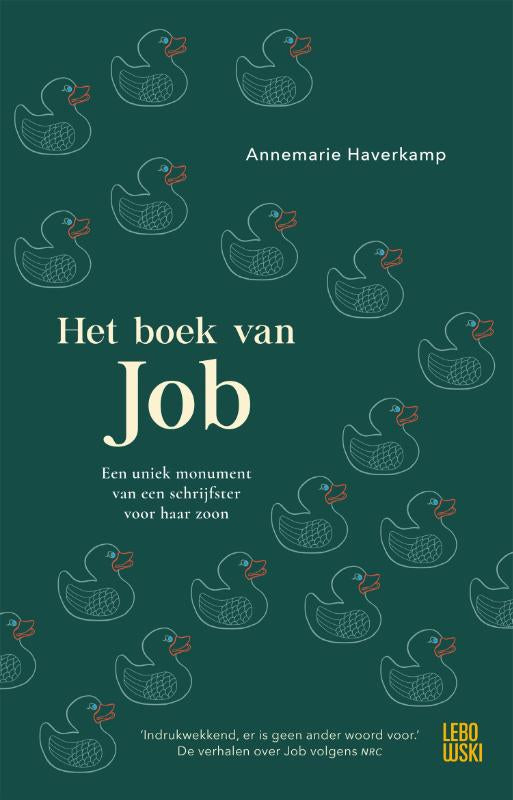 Het-boek-van-Job-boek-cover-9789048874279