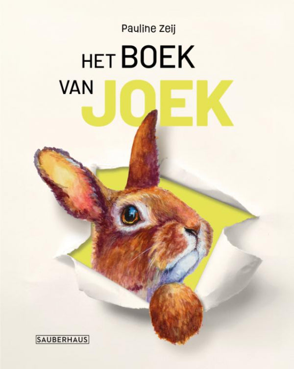 Het-boek-van-Joek-boek-cover-9789083455631