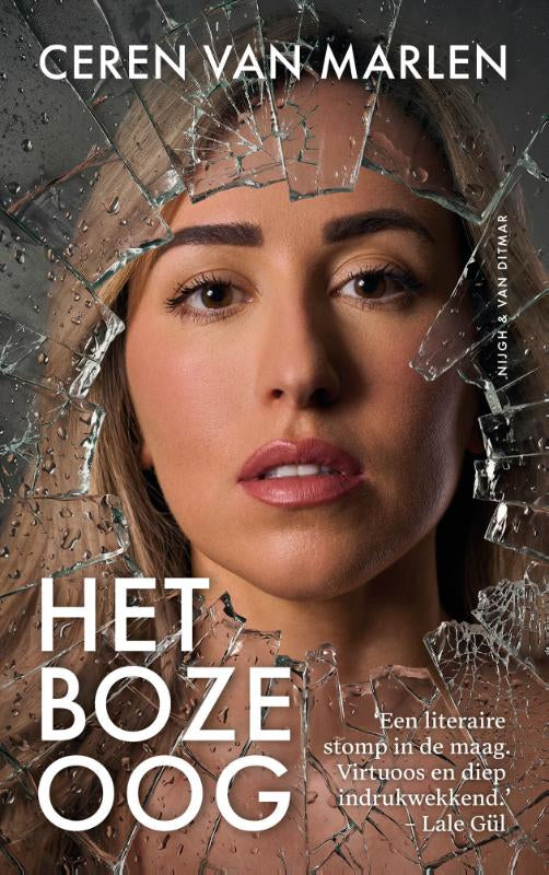 Het-boze-oog-boek-cover-9789038817446