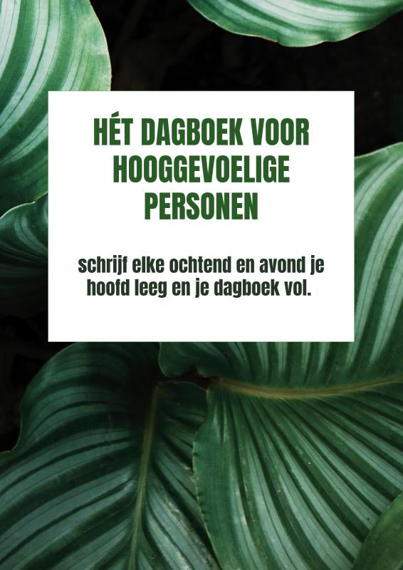 Het-dagboek-voor-hooggevoelige-personen-boek-cover-9789403713205