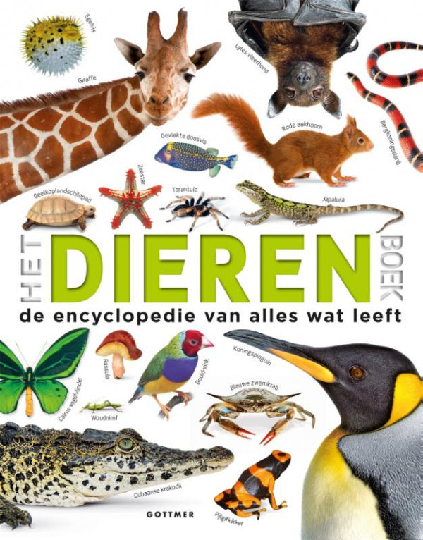 Het-dierenboek-boek-cover-9789025756628