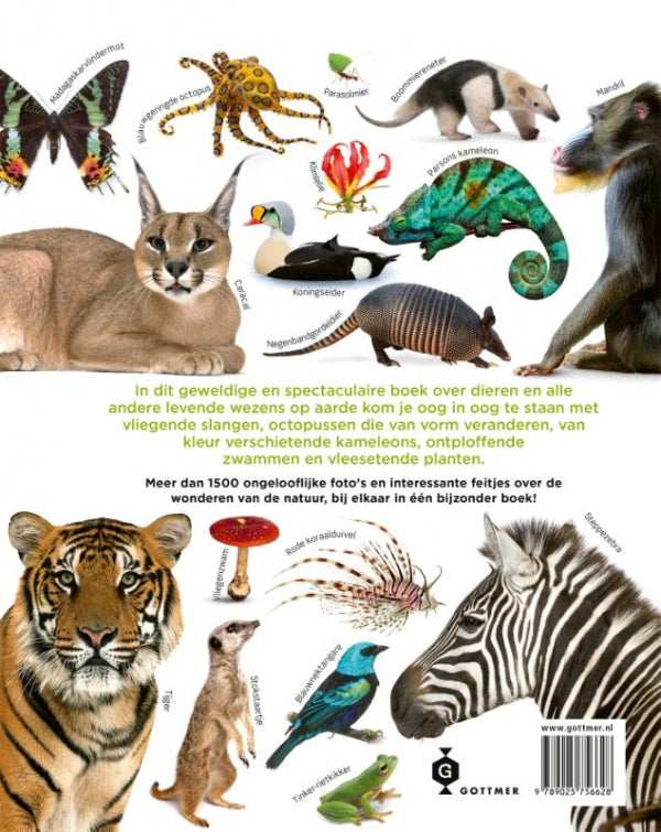 Het-dierenboek-flaptekst-9789025756628