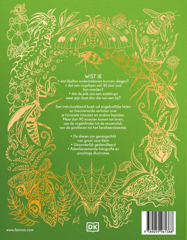 Het-dikke-boek-van-alle-bijzondere-insecten-en-andere-beestjes-flaptekst-9789059961388
