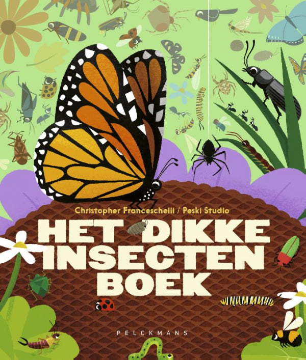 Het-dikke-insectenboek-boek-cover-9789463376075