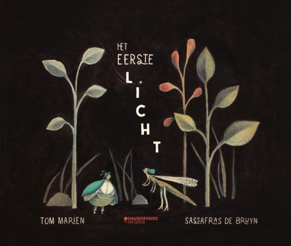 Het-eerste-licht-boek-cover-9789002274695