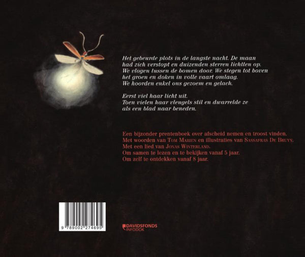 Het-eerste-licht-flaptekst-9789002274695