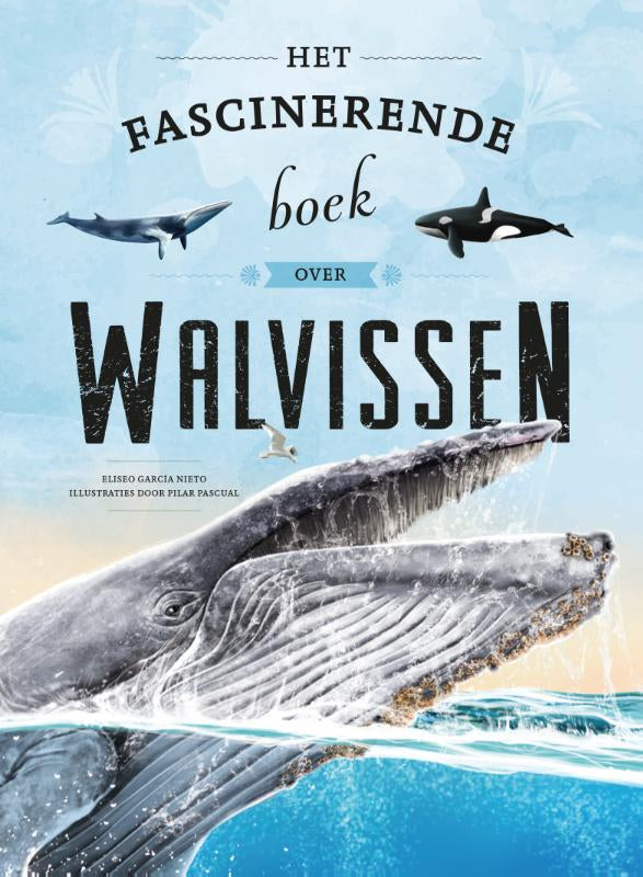 Het-fascinerende-boek-over-walvissen-boek-cover-9789036648660
