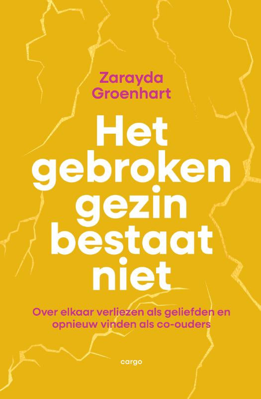 Het-gebroken-gezin-bestaat-niet-boek-cover-9789403138121
