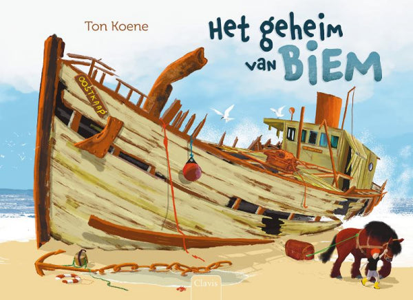 Het-geheim-van-Biem-boek-cover-9789044853209