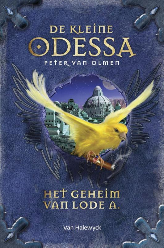 Het-geheim-van-Lode-A-boek-cover-9789461316370