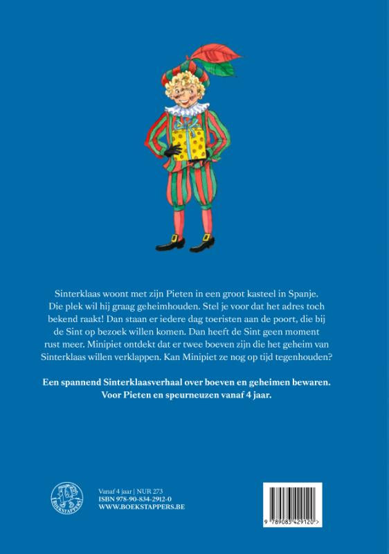 Het-geheim-van-Minipiet-flaptekst-9789083429120