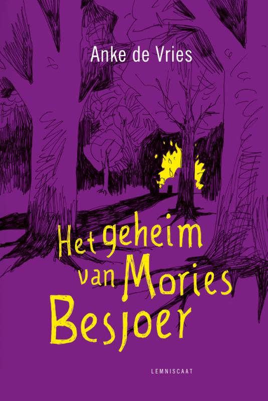 Het-geheim-van-Mories-Besjoer-boek-cover-9789047708308
