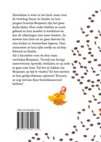 Het-geheim-van-Sinterklaas-flaptekst-9789462601734