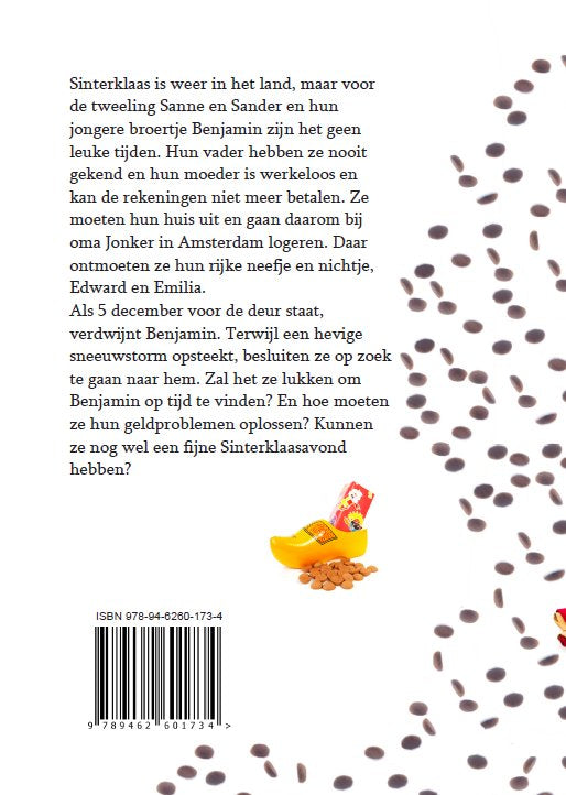 Het-geheim-van-Sinterklaas-flaptekst-9789462601734