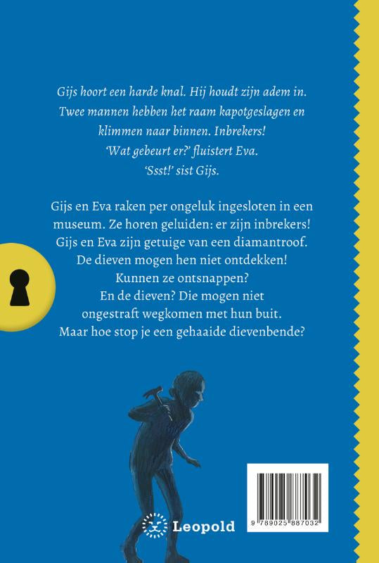 Het-geheim-van-de-duistere-diamantroof-flaptekst-9789025887032