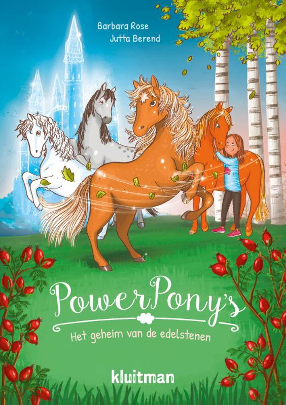 Het-geheim-van-de-edelstenen-boek-cover-9789020617412