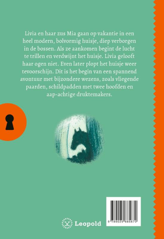 Het-geheim-van-het-verdwenen-huis-flaptekst-9789025885670