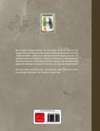 Het-grimmige-bos-flaptekst-9789044830293