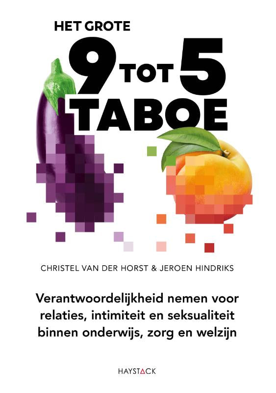 Het-grote-9-tot-5-taboe-boek-cover-9789461265883