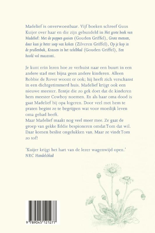 Het-grote-boek-van-Madelief-flaptekst-9789045121277