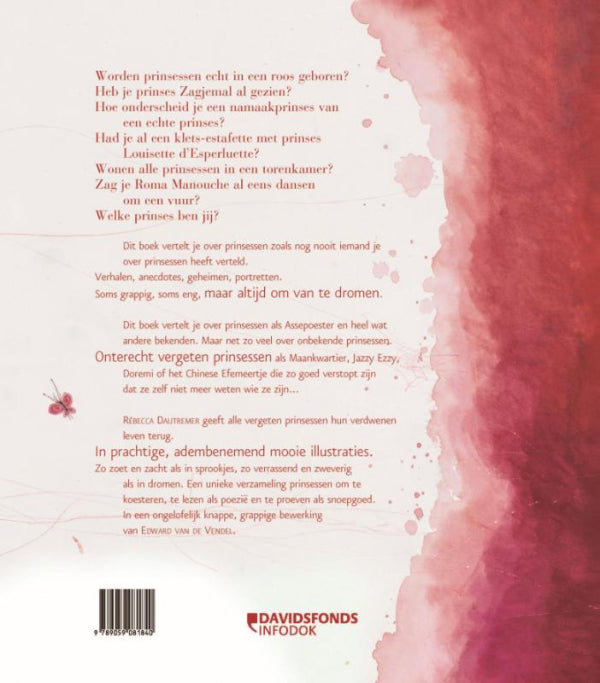 Het-grote-boek-van-vergeten-Prinsessen-flaptekst-9789059081840