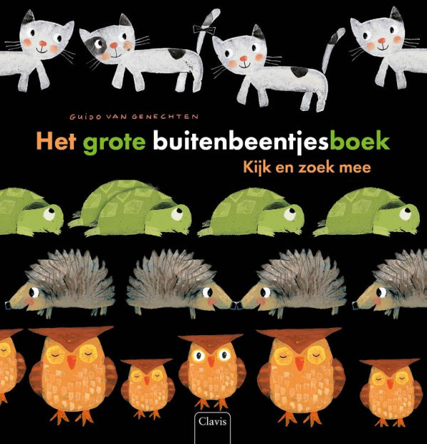 Het-grote-buitenbeentjesboek-boek-cover-9789044863628