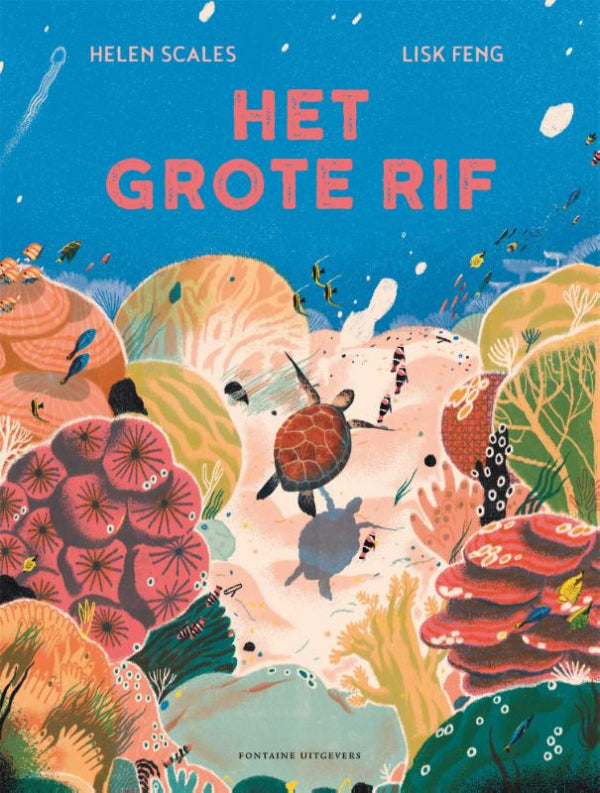 Het-grote-rif-boek-cover-9789464040357