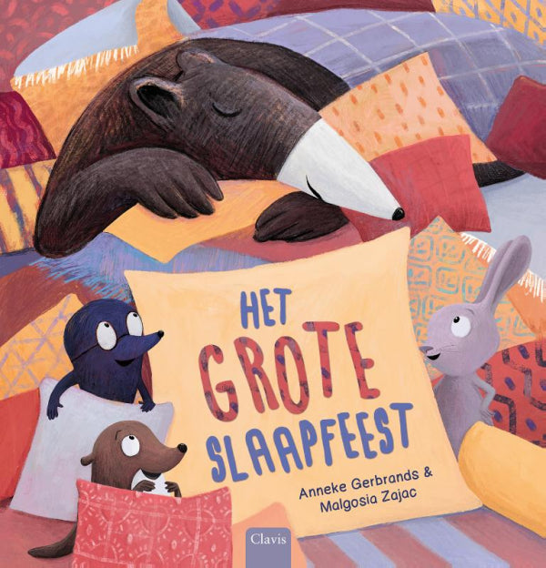 Het-grote-slaapfeest-boek-cover-9789044853490