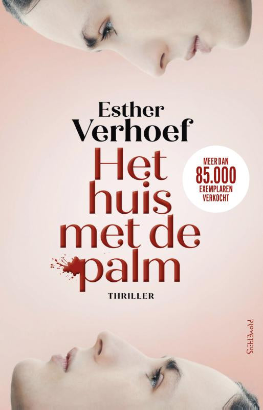 Het-huis-met-de-palm-boek-cover-9789044658804