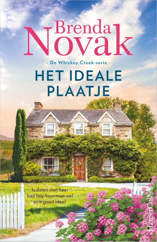 Het-ideale-plaatje-boek-cover-9789402715484