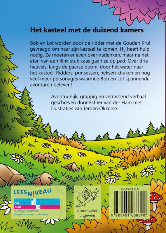 Het-kasteel-met-de-duizend-kamers-flaptekst-9789491886348