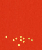 Het-kerstboek-flaptekst-9789000395309