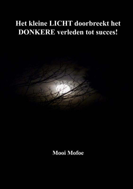 Het-kleine-LICHT-doorbreekt-het-DONKERE-verleden-tot-succes-boek-cover-9789462473690